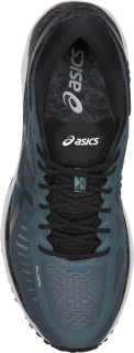 Asics 2025 metarun ironclad