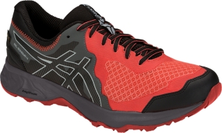 Asics gel sonoma 2025 4 gtx herren test