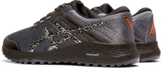 Suplemento Cuatro bombilla Men's ALPINE XT 2 | Carrier Grey/Silver | Trail Running Shoes | ASICS