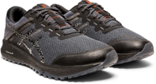 Men's ALPINE XT 2 | Carrier Grey/Silver | Trail Running | ASICS