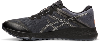 alpine xt asics