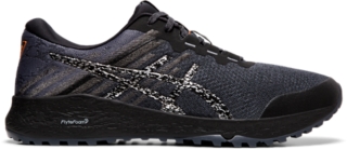 Men's ALPINE XT 2 | Carrier Grey/Silver | Trail Running | ASICS