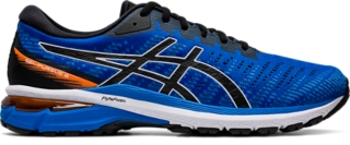 asic gel pursue