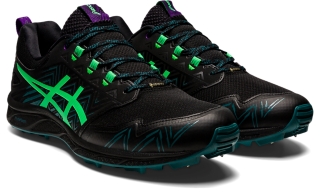 Asics fujisetsu 2 gtx hot sale