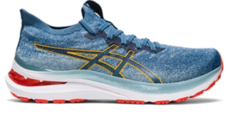 Asics men's gel store kayano