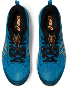 Asics best sale gel evoride