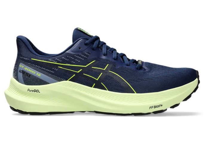 Asics nimbus vs gt 2000 best sale