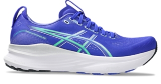 Cobalt Burst/Pure Silver