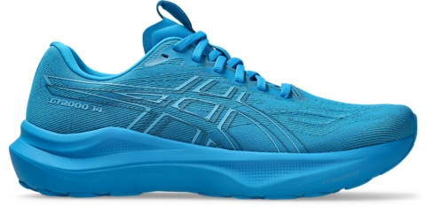 Мужские кроссовки ASICS GT-2000 14