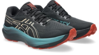 GT-2000 14 GTX, Black/Apricot Crush 2