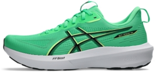 GT-1000 14, Bild 8 von 8