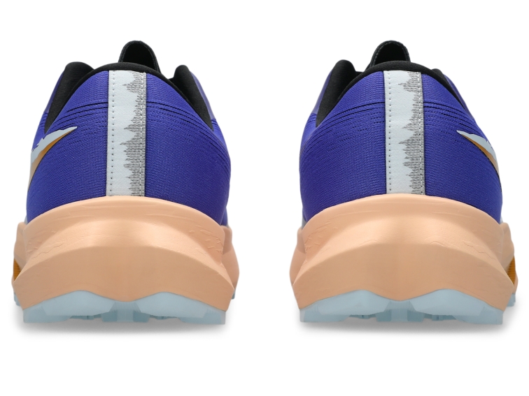 FUJI LITE 6 thumbnail