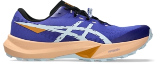 Cobalt Burst/Cool Grey