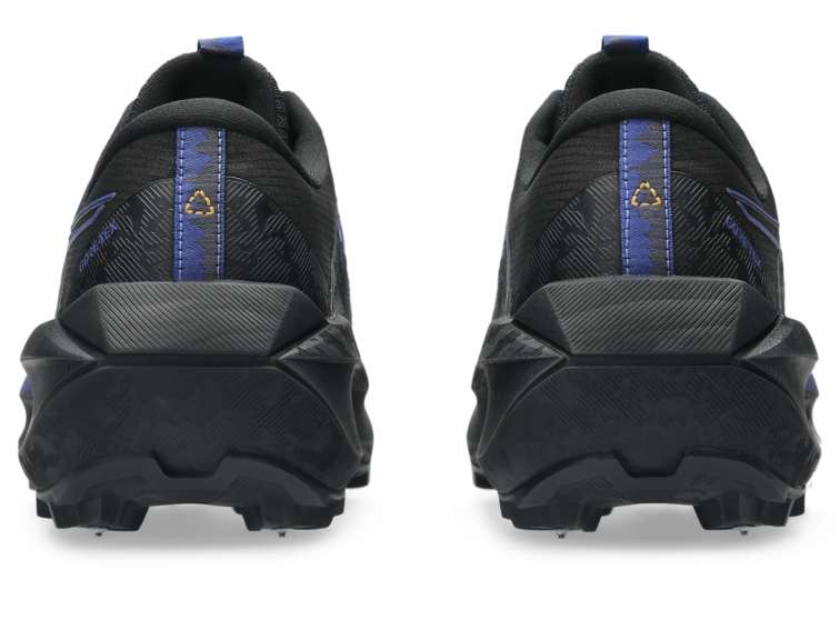 FUJISETSU MAX GTX thumbnail