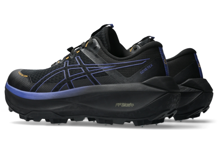 FUJISETSU MAX GTX thumbnail