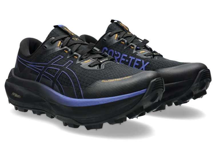 FUJISETSU MAX GTX thumbnail