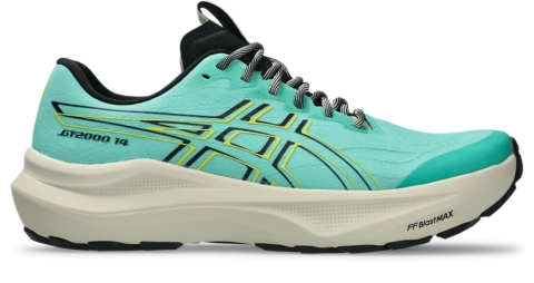 Мужские кроссовки ASICS GT-2000 14 TR