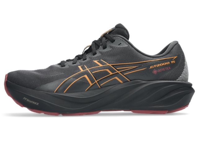 ASICS GT-2000 15 GTX