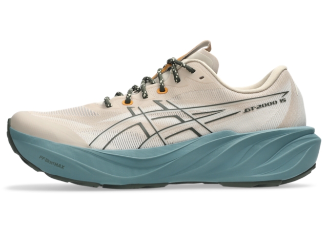 ASICS GT-2000 15 TR