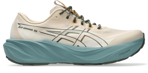 Мужские кроссовки ASICS GT-2000 15 TR