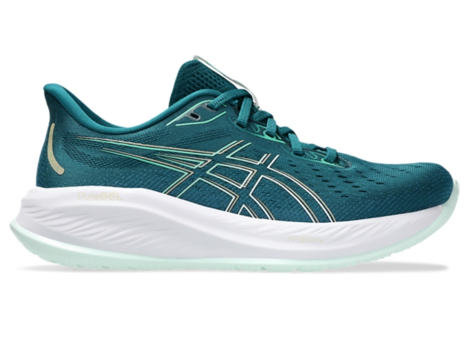 Asics gel cumulus 5 argent online