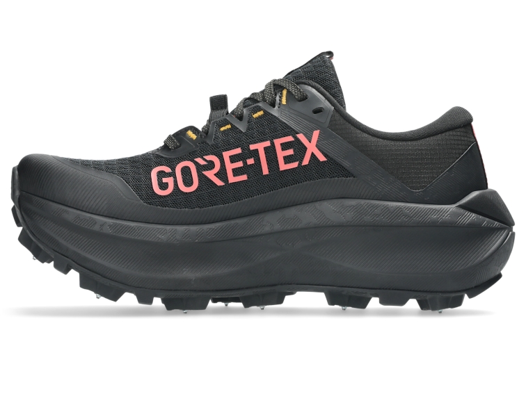 FUJISETSU MAX GTX thumbnail