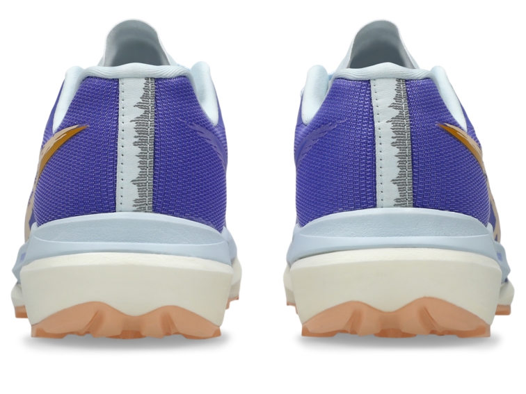 FUJISPEED 4 thumbnail