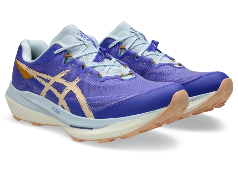 FUJISPEED 4 thumbnail