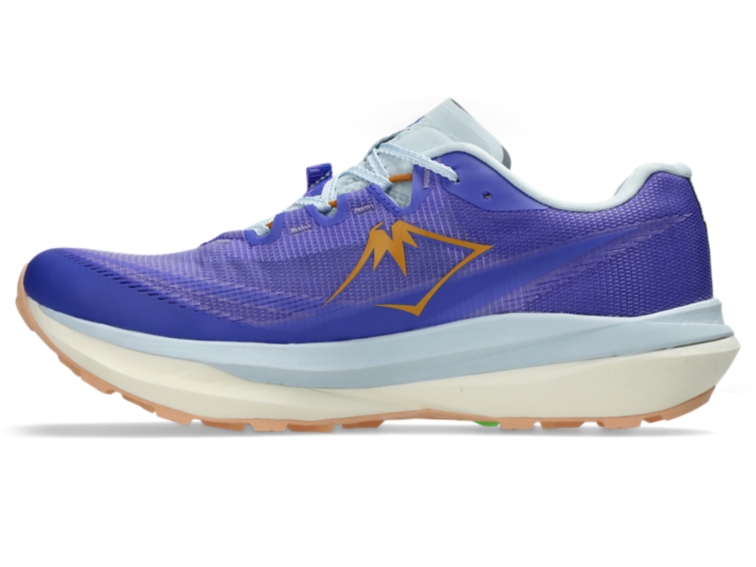 FUJISPEED 4 thumbnail