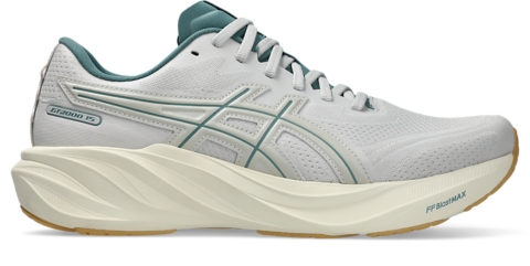 Мужские кроссовки ASICS GT-2000 15
