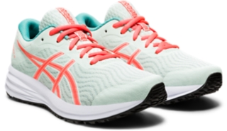 PATRIOT 12 GS, Image 2 of 6