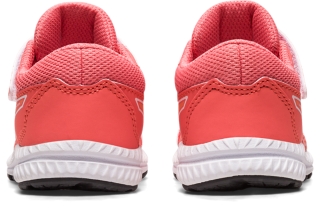 CONTEND 8 TS, Image 6 of 8