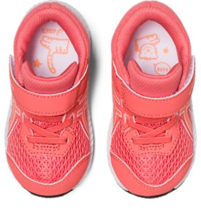 CONTEND 8 TS, Image 7 of 8