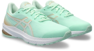 GT-1000 12 GS, Image 2 of 8