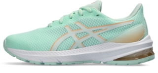 GT-1000 12 GS, Image 8 of 8