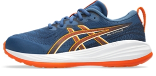 GEL-CUMULUS 27 GS, Image 8 of 8