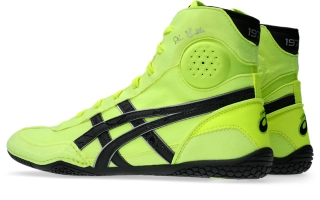 DAN GABLE EVO 3, Image 3 of 8