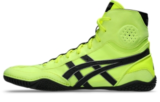 DAN GABLE EVO 3, Image 4 of 8