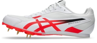 EFFORT 14、画像 8 / 8