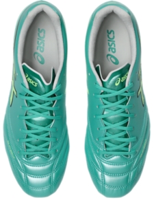 DS LIGHT PRO、画像 6 / 8