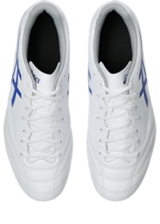 DS LIGHT CLUB WIDE、画像 6 / 8