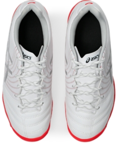 DS LIGHT JR GS TF、画像 6 / 8