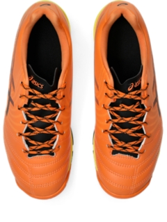 DS LIGHT JR GS TF、画像 6 / 8