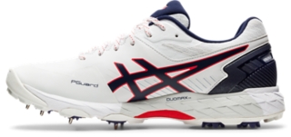 350 NOT OUT FF, Image 4 of 7