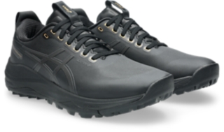GEL-KAYANO ACE 3 PREMIUM、画像 2 / 8