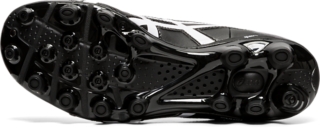 LETHAL TIGREOR IT GS, Image 7 of 7