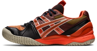 Asic gel 2024 resolution 5