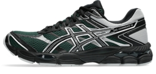 Evergreen/Black