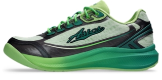 Sage Frost/Tatami Green