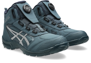 ウィンジョブ® CP605 GTX BOA LC (3E相当), ローインディゴ×ピュアシルバー 2
